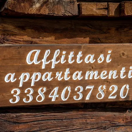 Kate リヴィーニョ